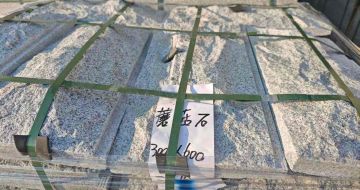 河南芝麻白蘑菇石，自然面