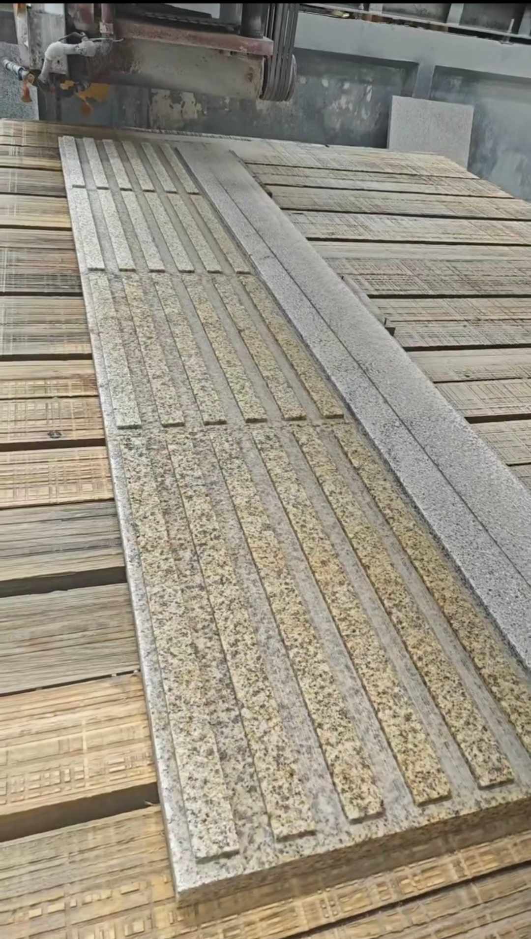 河南黄金麻盲道石 盲条